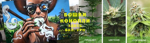 трава Майский